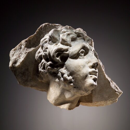 A Head of a Man in Relief